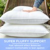 22x22 Outdoor Pillow Inserts (Set of 2) - Plush &
