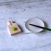 Japanese Traditional Grater for Wasabi and Ginger with Minoyaki Plate