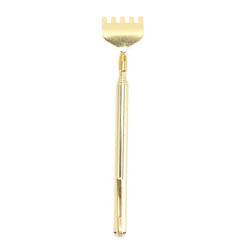 Wisecoco 4Pcs Extendable Back Scratcher, Stainless Steel Portable Telescoping Hand