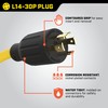 Champion 3-Foot 30-Amp 125/250-Volt Generator Y-Adapter (L14-30P to two 5-20R)