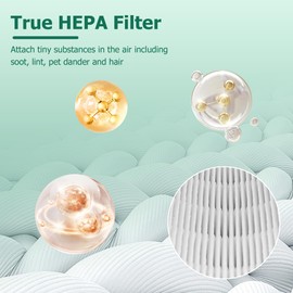 ROMON AP-T10FL Toxin Absorber Replacement Filter Compatible with Home-Dics AP-T10 AP-T10-WT AP-T10-BK Air Purifier, Part# AP-T10FL, 1 Pack, Green