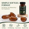 AiVitality Amagreen Aceite Oregano y Coco - 60 Softgels, Oregano