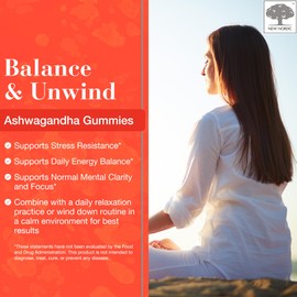 NEW NORDIC Ashwagandha Gummies, 300 mg Ashwagandha Root Extract, Sugar Free, Adaptogens for Men and Women, Delicious Mango Peach, 60 Gummies