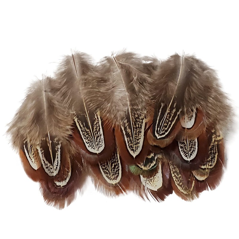 100 pcs Natural Pheasant Plumage Feathers 2-3 Inches Plumage Feathers