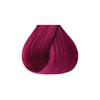 Kiss Tintation Semi-Permanent Hair Color 5 Ounce, T740 Rose Gold