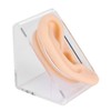 Soft Silicone Ear Model Simulation Ear Acupuncture Practice Model for