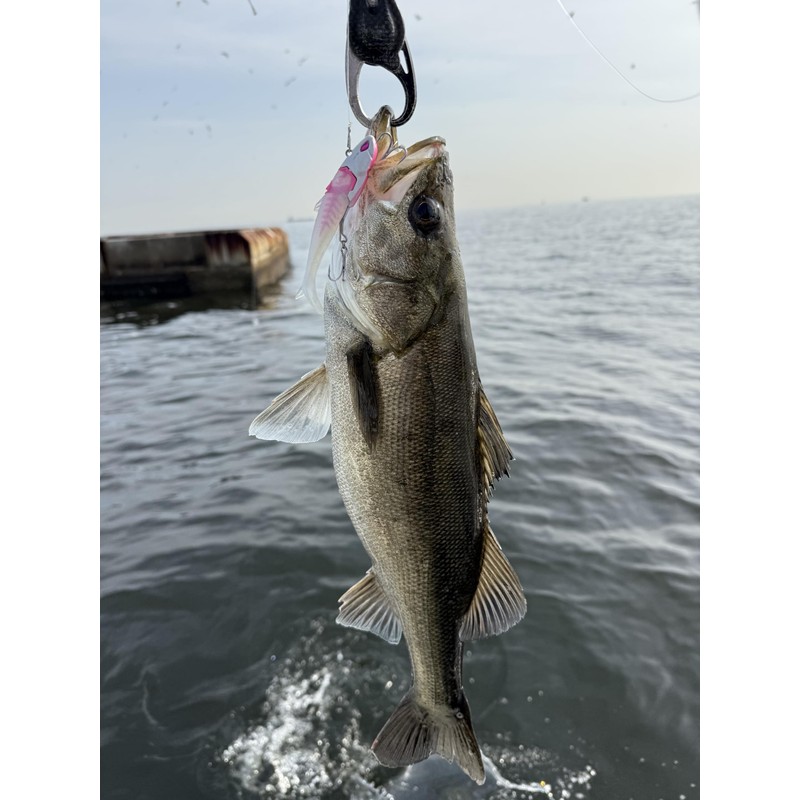 Flowfull Works N013 CHERRY BERRY Noid, 1.1 oz (30 g)