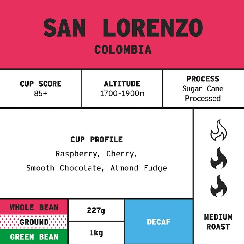 Coffee Beans 227g Bag, Whole Bean Coffee, Colombian Decaf Coffee