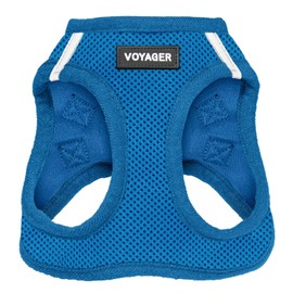 Best Pet Supplies Voyager Step-in Air Dog Harness - All Weather Mesh Step in Vest Harness for Small and Medium Dogs by - Royal Blue (Matching Trim), XS (Chest: 13-14.5")