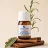Georges Laure Scalp Detox Repair Oil Kapilor Dete 28ml /