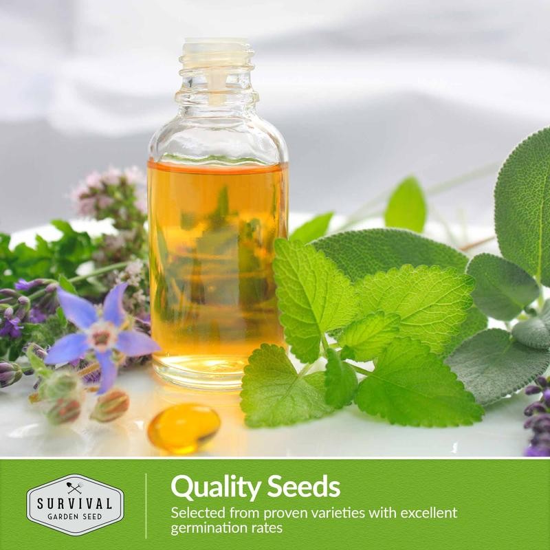 Medicinal Herb Collection - 18 Medicinal Herbs