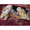 Cobble Hill Barn Owls 1000 Piece Jigsaw Puzzle