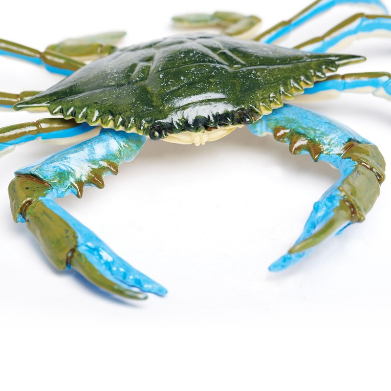 Safari Ltd. Blue Crab Figurine - Realistic 7" Model Figure