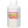 Cupcake World Intense Food Flavouring, Apple, 500 ml