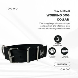 SparkDog 2” Working Dog Collar – Heavy Duty 4-Ply Nylon & Polyester Webbing, Stainless Steel Hardware, Tactical Style for Pitbulls, Medium & Large Dogs (14-20" (Black, 2" Width)