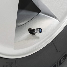 iPick Image for Ford F-150 Raptor in Black on Silver Chrome Aluminum Tire Valve Stem Caps