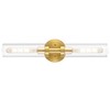 SANTOSTOCK Brushed Gold Bathroom Vanity Light Fixture, 2-Light Modern Wall