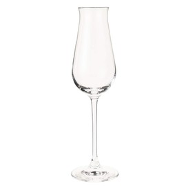 Champagne Glasses dezaia- Glasses Dishwasher Safe 240ml RN – 13254cs