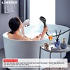 LIWEIKE 2 Handle Shower Faucet Matte Black Two Handles Shower