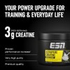 ESN Ultrapure Creatine Monohydrate, Neutral, 250 g, 71 Servings