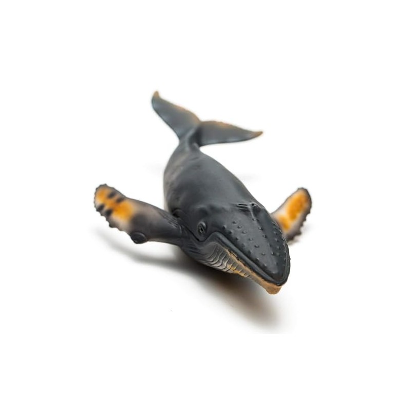 CollectA Humpback Whale
