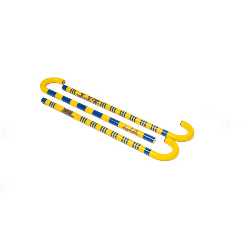 Sigma Gamma Rho Cane - Wide Block Small SGRho
