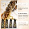 4 en 1 para Champú Colorante, Shampoo Tinte 500ml (Negro)