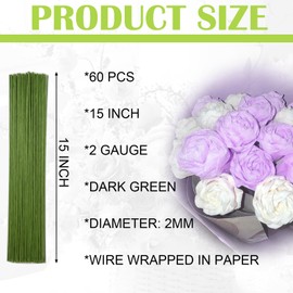 AOODOOM 60 Pack Floral Stems Wire for Paper Flower 2 Gauge Flower Stems for Crochet Projects 15 Inch Artificial Green Crafts Wire Wreath Making Supplies