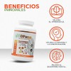 Olnatura Just Olfocus 90 cpsulas, Suplemento Alimenticio para la Salud