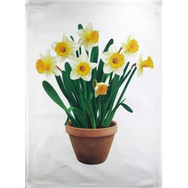 Half a Donkey Pot of Spring Daffodils large cotton tea towel