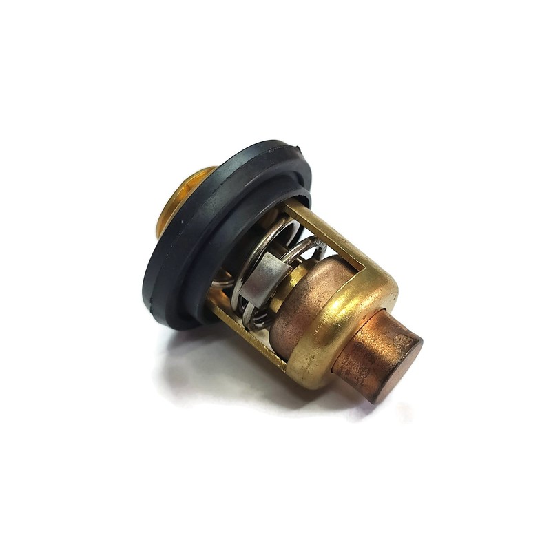 Boat Engine Thermostat Asy 19300-ZY6-003 7634371 for Honda Outboard 2-Stroke