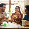 Soilmount - Self-Heal Tea - |Prunella vulgaris|xia ku cao|夏枯草| -