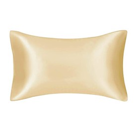 FLCA 100% Mulberry Silk 19 Momme Charmeuse Silk Pillowcase Both Sides Silk Pillow Shams Cover for Skin Health with Hidden Zipper 1pc 50 x 75 cm (Champagne, Standard(50x75cm))