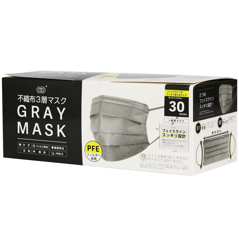Fuji Kogyo Gray Mask, Pack of 30