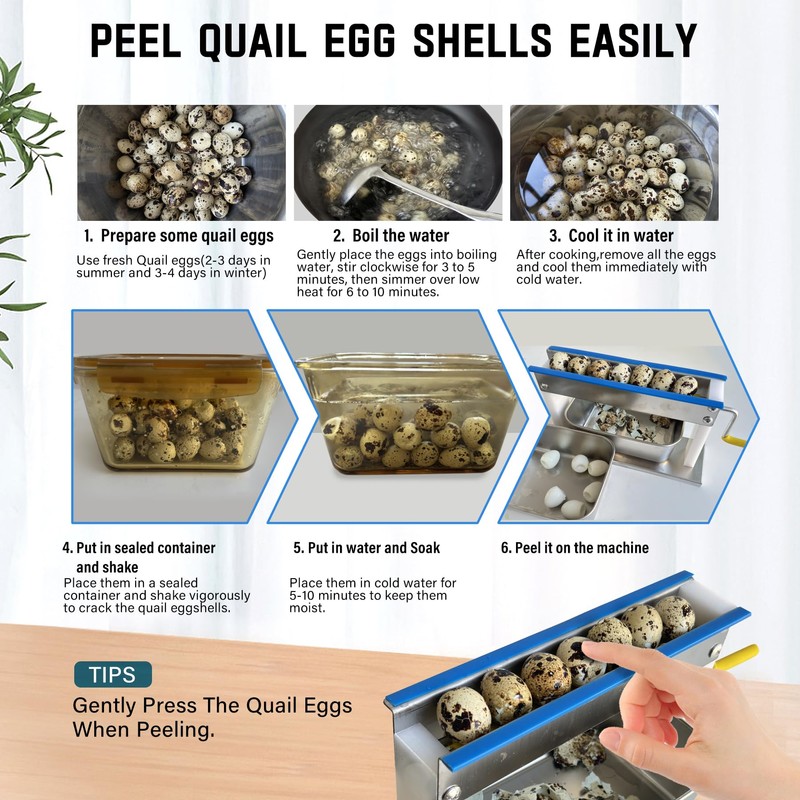Manual Quail Egg Peeler Machine Kit - 304 Stainless Steel