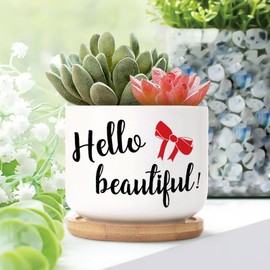 DecStic Hello Beautiful Ceramic Planter Bible Verse Planters for Outdoor Plants with Drainage Holes and Saucers Pot for Home Office Decoration
