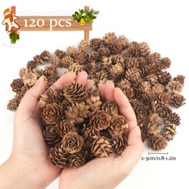 TaoQ C 120 PCS Pine Cones Decorations, Natural Pine Cones Bulk - Mini Pine Cones Christmas Pine Cones for Table Christmas Tree Crafts Gifts Thanksgiving Fall and Xmas Home Decor