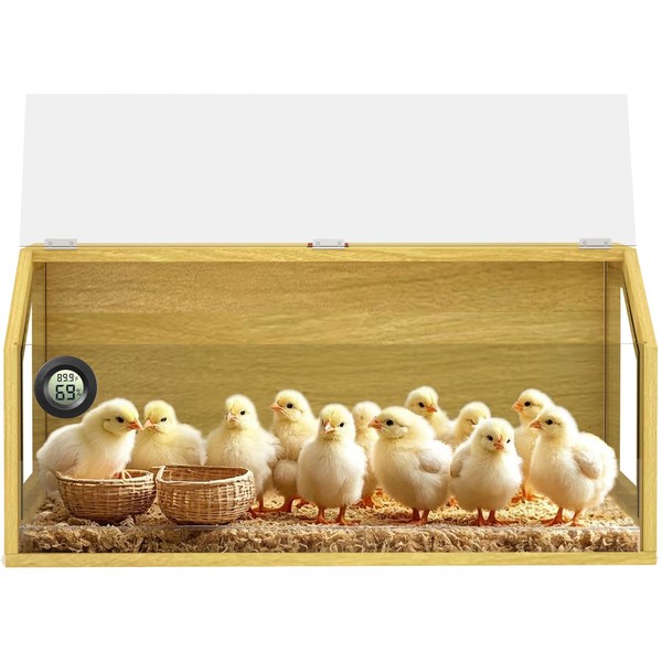 Chick Brooder Box 32", Up to 35 Chicks, Large Chicken