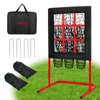9 Hole Pitching Net with Strike Zone, More Stable Base