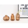 MOLIMAO Bud Vase Set of 3 Small Vase Mini Glass