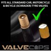 Newstar Cobra R Snake emblem Ford Mustang Valve stem caps