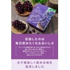 REYS Whey Protein, Supervised by Reimei Yamazawa, 1kg, Made in
