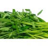 Home-Growth Ong Choy, Water Spinach - 200 Seeds - USA