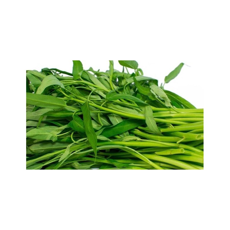 Home-Growth Ong Choy, Water Spinach - 200 Seeds - USA