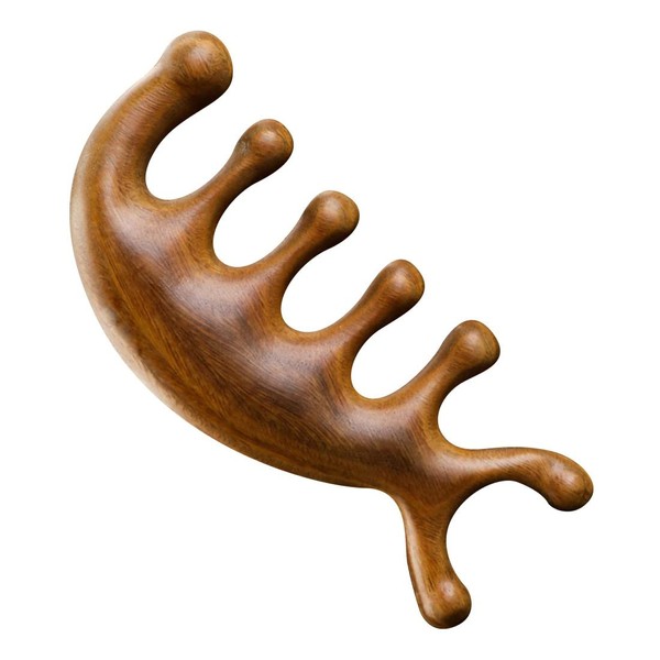 1 x Wooden Hair Comb, Multi-Purpose Scalp Gua Sha Comb,