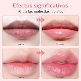 8PCS Balsamo Labios, Bálsamo labial Hidratante ，Balsamos Labiales Mayoreo, Labial Hidratante,Bálsamo Labial Selección Natural， with Vitamin E and Coconut Oil, Ideal Para Labios Secos Y Agrietados.