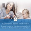 Honeywell Home HC12A1015 Whole House Humidifier Pad, Foam