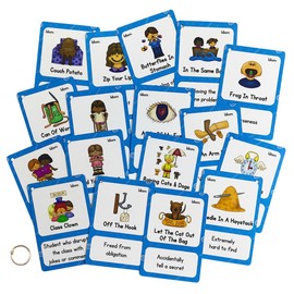 Lilias Proverb Idioms English Grammar Double-Side Learning Flash Cards - 17 Card Set for Homeschool, Preschool, Primary School, ESL, Autism, Vocabulary Building