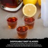 PinkWebShop - Crystal Clear Plastic Shot Glasses - 30ml Disposable