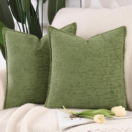 Madizz Set of 2 Chenille Velvet Cushion Covers with Edge, Decorative Soft Neutral Throw Cushions for Sofa, Boho Accent Decorative Cushion Covers for Bedroom, Living Room, Light Green, 40 x 40 cm